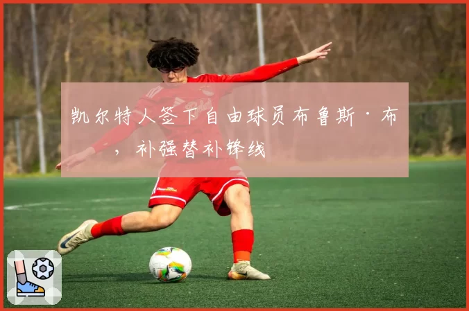 凯尔特人签下自由球员布鲁斯·布朗，补强替补锋线