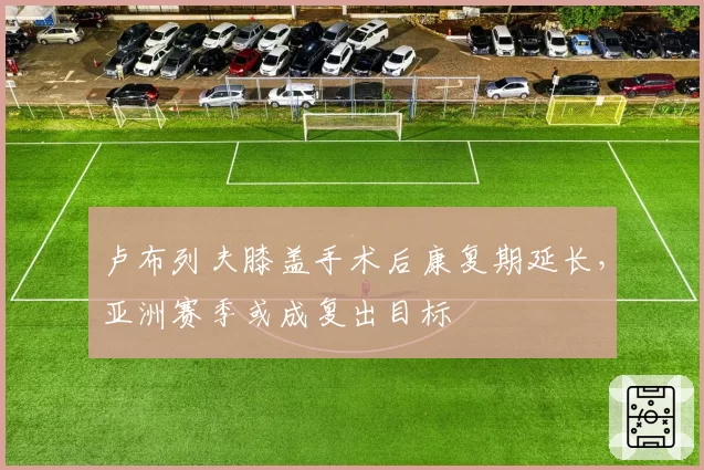 卢布列夫膝盖手术后康复期延长,亚洲赛季或成复出目标