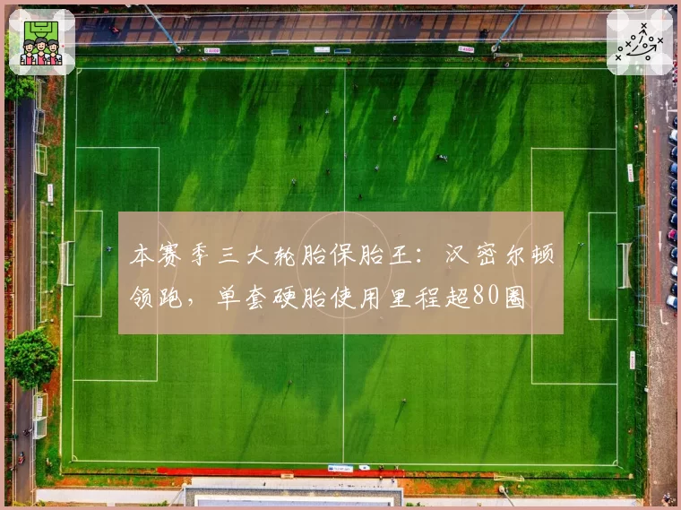 本赛季三大轮胎保胎王：汉密尔顿领跑，单套硬胎使用里程超80圈
