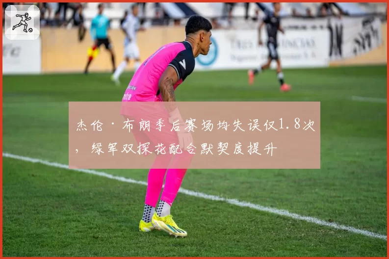 杰伦·布朗季后赛场均失误仅1.8次，绿军双探花配合默契度提升