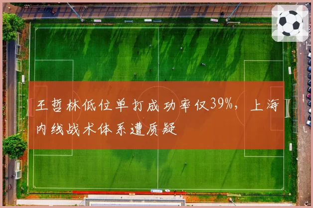 王哲林低位单打成功率仅39%，上海内线战术体系遭质疑