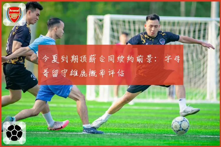 今夏到期顶薪合同续约前景：字母哥留守雄鹿概率评估