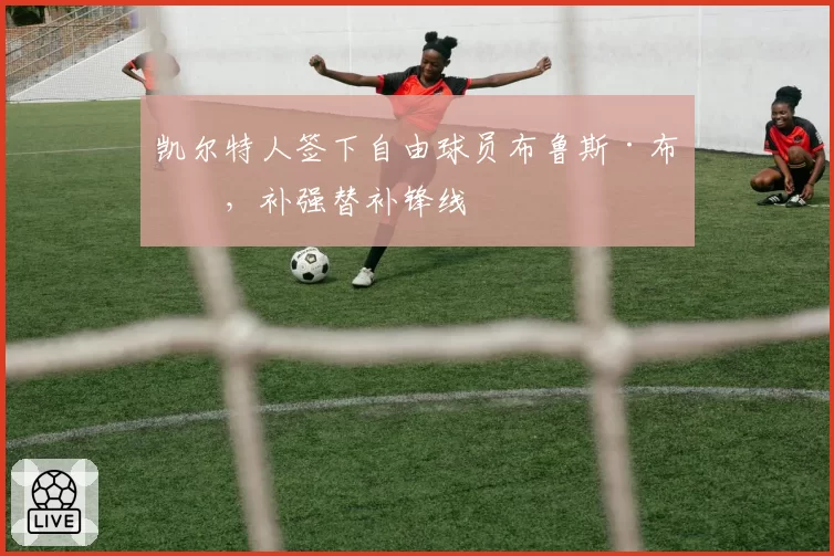 凯尔特人签下自由球员布鲁斯·布朗，补强替补锋线